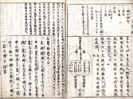三貫柏