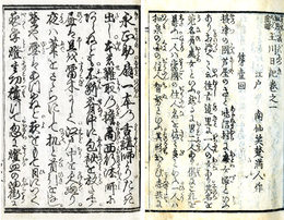 松月露譚玉川日記