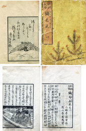 鯨舎気質鶴毛衣