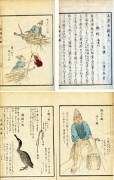 美濃奇観