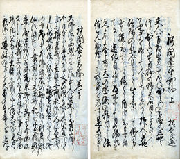 神国養生異論