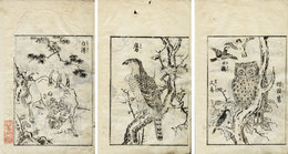 草花鳥獣錦画鑑