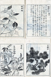華彙　木部