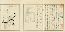 宇倶比須総論