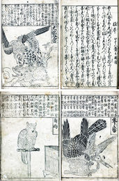仁義理古武志（にぎりこぶし）
