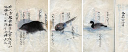 鳥獣打方集伝