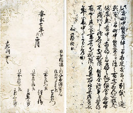 質惣代願書写并返答控