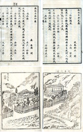 箱根草　1～4集