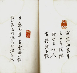 一日百印百詩