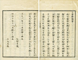 七箇条鏡草