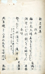 新虚栗集