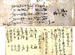 秘書　琉球人参着之訳他