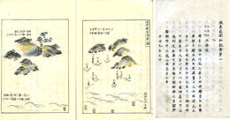 扶桑見聞私記