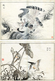 鳥類画帖
