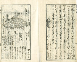 前編金魚養玩草