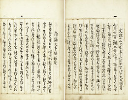 文政十二己巳年三月廿一日江戸大火聞書