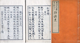 文政御蔭まゐり狂詩変