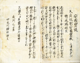 天真坂樹安国宝鏡　