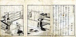 嗚呼矣草（おこたりぐさ）　5巻