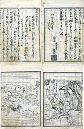 鼈魚因縁風流行脚噺　5巻