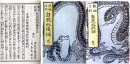 報讐奇談自来也説話　前編五巻六冊後編五巻五冊