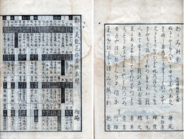 都々美能花　つゝみの花