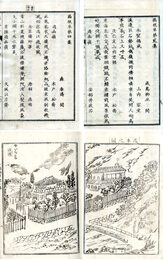 箱根草　1～4集　全５集の内