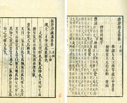 官板唐律疏議　30巻・序表目録釈文各1巻　内題・故唐律疏義