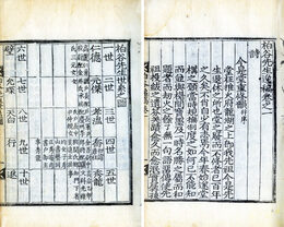 栢谷先生逸稿　2巻付世系図　外題・栢谷先生文集