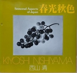 春光秋色　（ソノラマ写真選書 21）