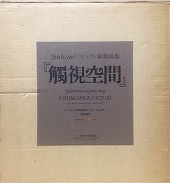 東貞美　Sadami　ビュラン銅版画集　『觸視空間』