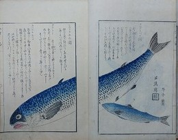 久摺日誌