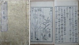 豊年教種（救歉挙要）
