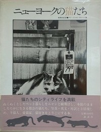 ニューヨークの猫たち