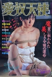 愛奴天使　1990年3月　（カバー有タイプ）