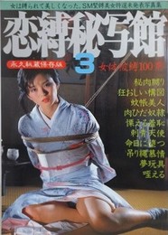 恋縛秘写館 3