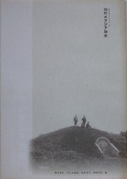 関野貞アジア踏査　（東京大学コレクション 20）