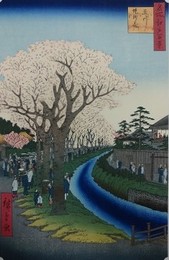 初代歌川広重筆　名所江戸百景　玉川堤乃花（中央区・新宿区）