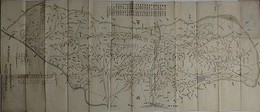 河内国絵図
