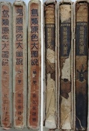 鳥類原色大図説　全3巻揃　元版