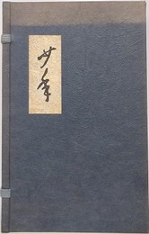 少年