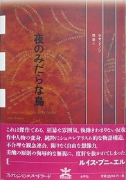 夜のみだらな鳥