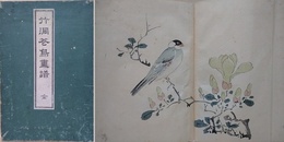 竹洞花鳥画譜