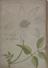 まりあんぬ物語　特装本　【署名入】