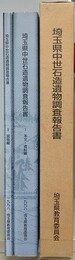 埼玉県中世石造遺物調査報告書　本文・資料編/図版編　2冊1函入