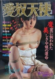 愛奴天使　1990年3月　（カバー有タイプ）