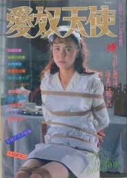 愛奴天使　1988年12月