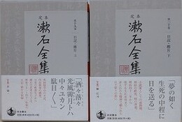 定本漱石全集 第19・20巻　日記・断片 上下　2冊組