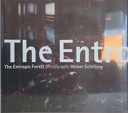 エントロピーの森