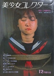 美少女コレクター No.1　伊藤明美　晩秋の想い出